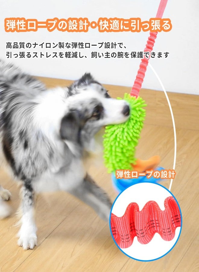 SCHITEC Dog Tug Toy, [2 Pack] Interactive Play Training Bungee Rope, Squeaky Tug of War Exercise Pull Toys for Puppy Small Medium Large Dogs - Image 3